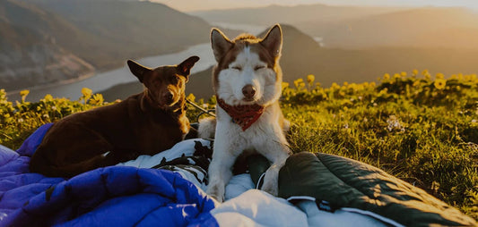 THE GORGE? STILL GORGEOUS